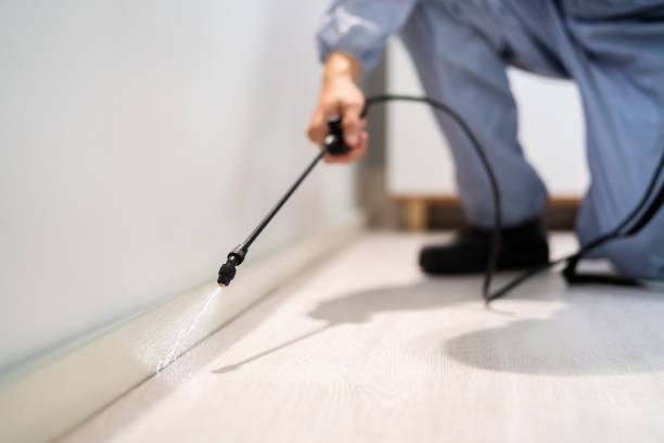 Professional exterminator conducting IPM assessment in Colquitt